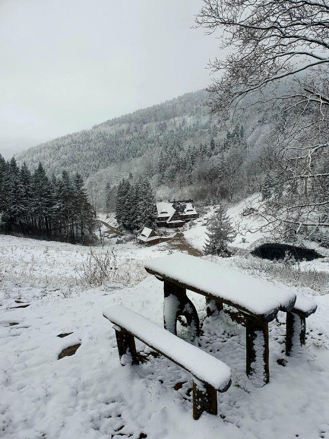 Apartament Mountains Gory Sowie Jugów Eksteriør bilde