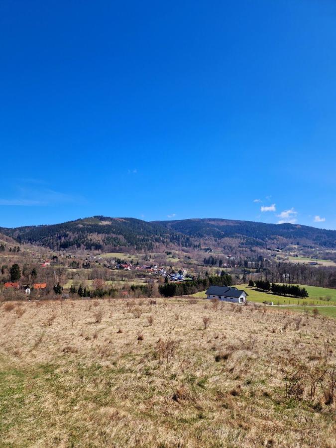 Apartament Mountains Gory Sowie Jugów Eksteriør bilde