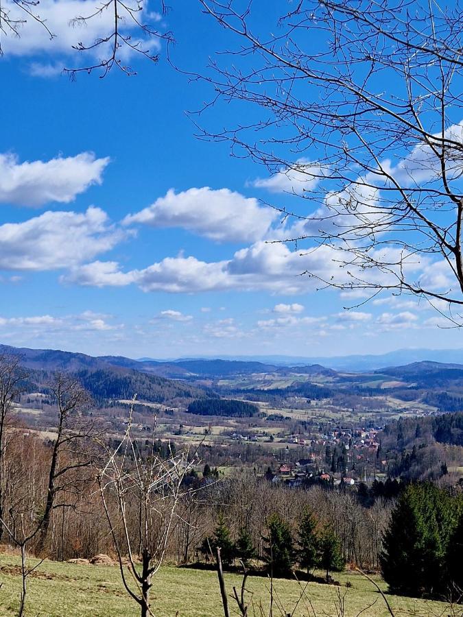 Apartament Mountains Gory Sowie Jugów Eksteriør bilde