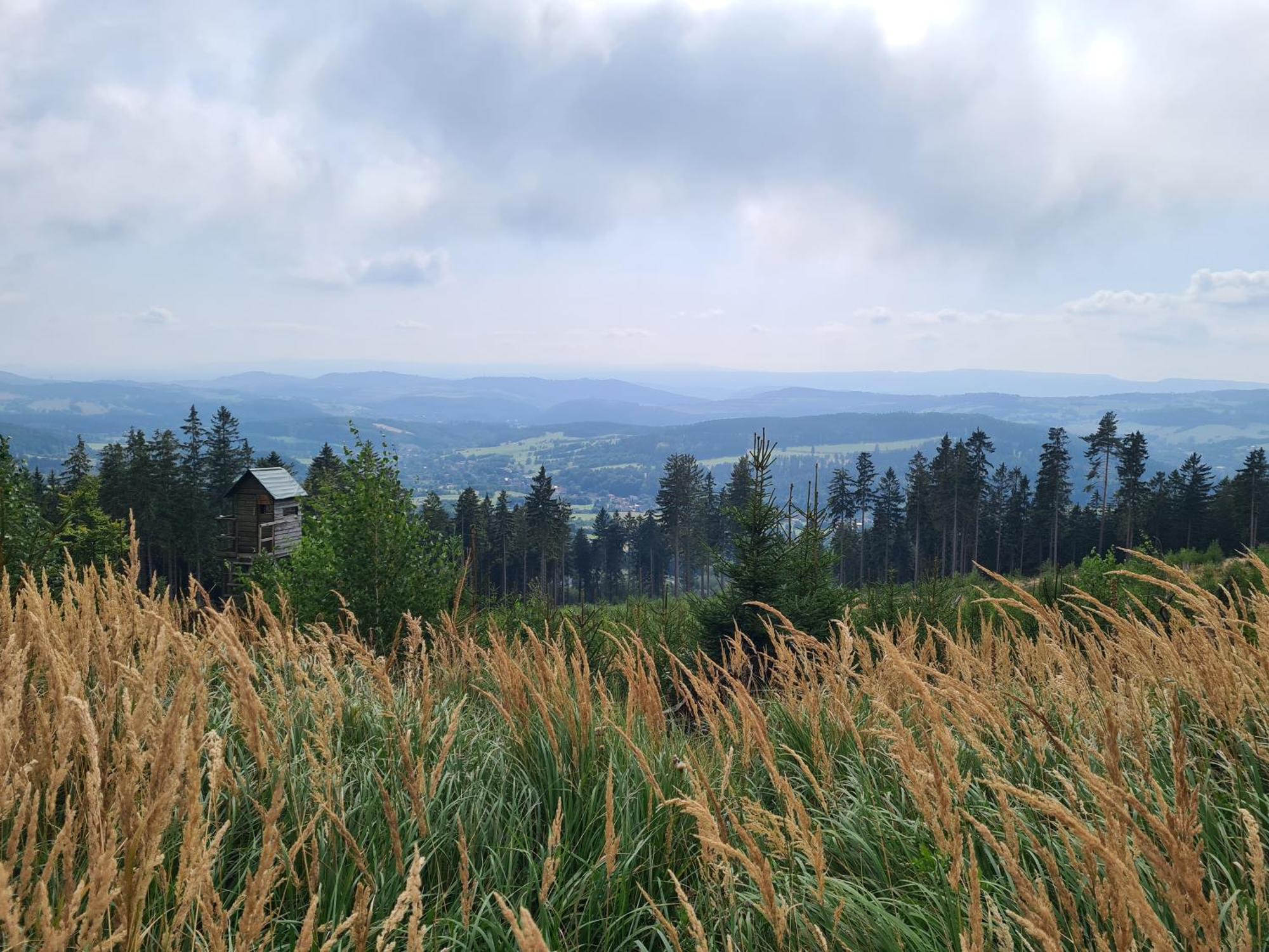 Apartament Mountains Gory Sowie Jugów Eksteriør bilde